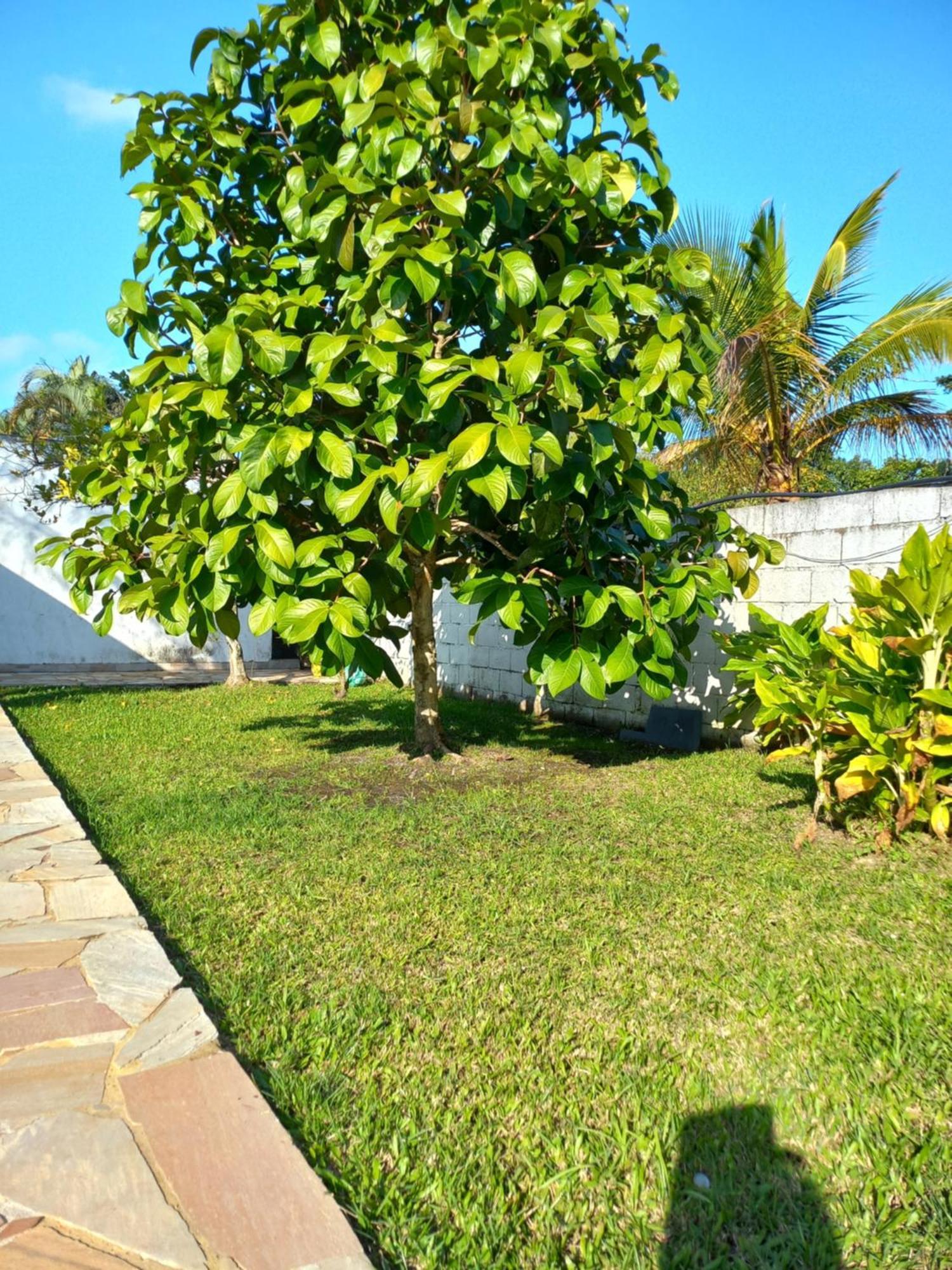 Chacara Sitio Casa Peruibe Praia Bagian luar foto